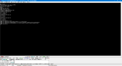 文件:240px-W800Demo-Debug-2.png
