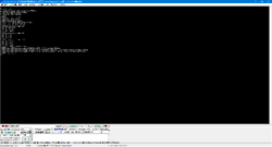 W800Demo-Debug-2.png