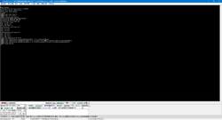 1200px-W800Demo-Debug-2.png