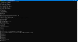 W600Demo-Debug-1.png