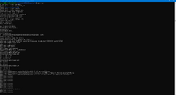 1599px-W600Demo-Debug-1.png